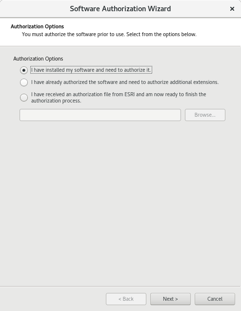 Choose the appropriate authorization option for your environment on the Authorization Options dialog box.